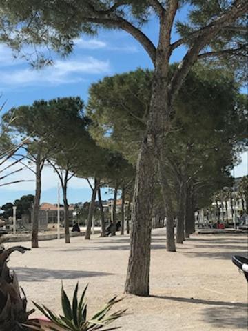 La Ciotat : Superbe Appartement Proche Du Port Esterno foto